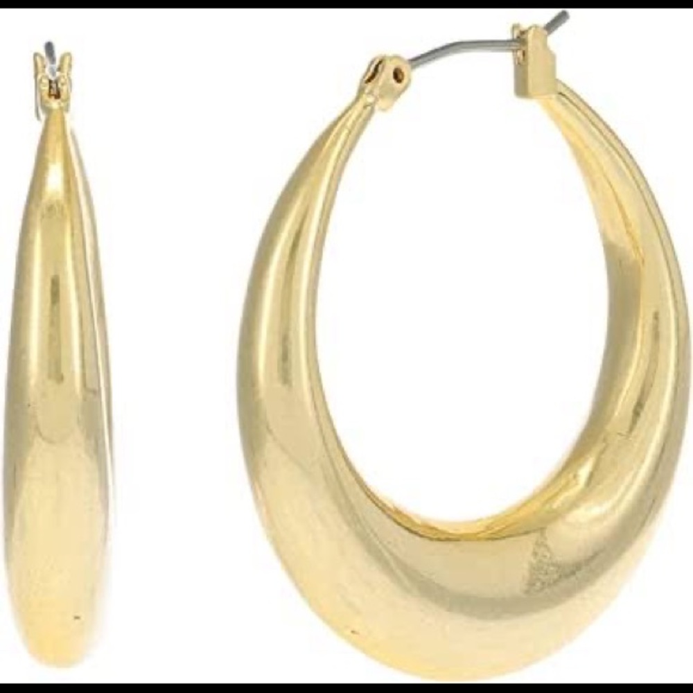 House of Harlow 1960 Gold Mesa Crescent Tube Hoop Earrings